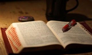 鸡犬豕是什么意思 鸡犬豕解释