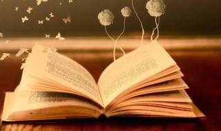 好油是什么梗 好油解释