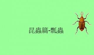 烟甲虫怎么产生的 烟甲虫如何产生的