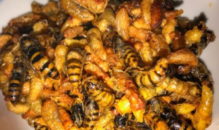 蜂蛹里面黑色的是什么可以吃吗 蜂蛹里面可以吃吗