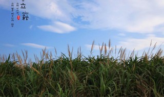 24个节气顺口溜是什么 24个节气顺口溜具体是什么