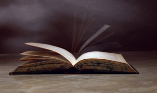 业胎关系是什么意思 业胎关系具体是什么意思