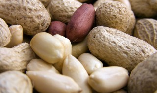 带壳花生受潮了怎么办 带壳花生受潮的解决方法