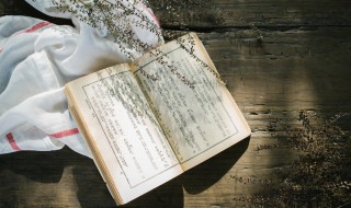 气势磅礴的意思是什么 气势磅礴的含义