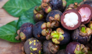 山竹热量 关于山竹的热量介绍