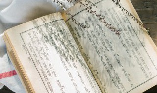 清清爽爽什么意思 清清爽爽的意思是什么