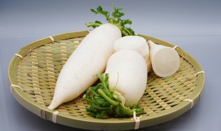 菜篮怎么清洗才干净 菜篮如保才能清洗干净