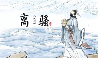 先驱的意思是什么 先驱表达的是什么