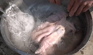 猪肚怎么样清洗才干净 猪肚清洗干净的方法