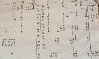 荣亲关系是什么意思 荣亲关系解释