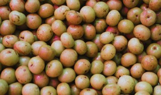 油柑吃多了会怎么样 油柑吃多了有副作用吗