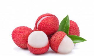 苏轼最喜欢吃什么水果 苏轼最喜欢吃哪种水果