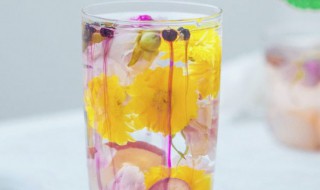 枸杞菊花泡水喝的禁忌 枸杞菊花泡水喝注意事项介绍