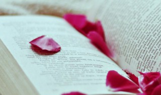 所谓伊人在水一方大概意思是什么呢 蒹葭文章理解