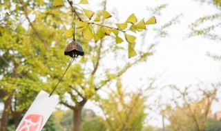 风铃的真正含义是什么 风铃的真正含义介绍