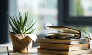 浅予深深长乐未央什么意思 浅予深深长乐未央的解释