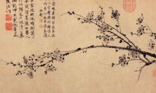 墨梅的诗意是什么 墨梅原文介绍