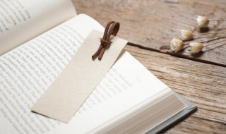 凡遇不易处之境皆能掌学问识见什么意思 凡遇不易处之境皆能掌学问识见原文