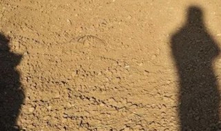 大自然中辨别方向的方法有哪些 大自然中辨别方向的方法介绍