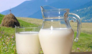 牛奶没放冰箱一天了还可以喝吗 牛奶没放冰箱一天了能不能喝