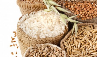 防止米生虫的妙招 怎么防止米生虫