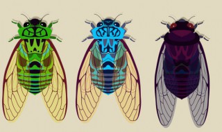 知了猴变黑了怎么洗白 知了猴变黑了如何洗白