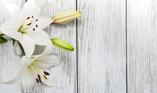 花粉怎么洗掉妙招 花粉怎么清洗