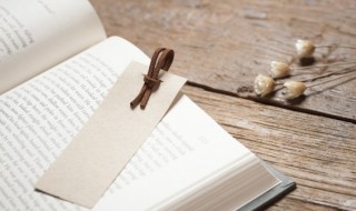 循规蹈矩的矩是什么意思 循规蹈矩的矩意思是什么