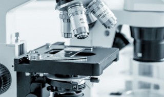 光学显微镜能看到什么 光学显微镜可以看到什么