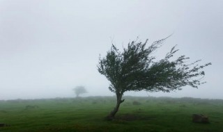 4到5级风可以出门吗 刮4到5级风能不能出门