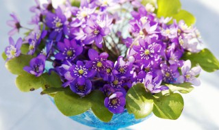 花瓶怎么清洗才干净 把花瓶清洗干净的方法有哪些