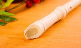 竖笛怎么清洗才能干净 竖笛清洗干净方法