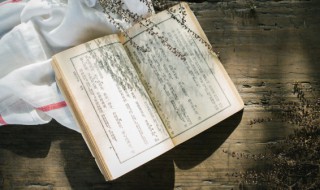 叶公好龙好的意思 叶公好龙的含义