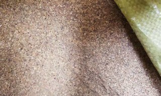 酒糟可以钓鱼吗 酒糟能不能钓鱼