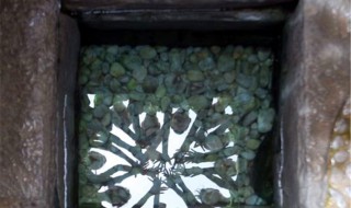 井水有异味怎么处理 井水有异味如何处理