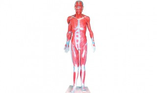 三门全开是什么意思 三门全开解释