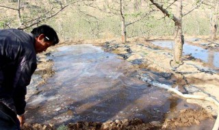 封冻水什么时间浇 树木浇封冻水的时间