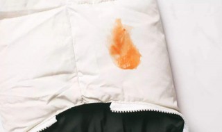 白色羽绒服发黄怎么洗 这么洗每天都穿新衣服