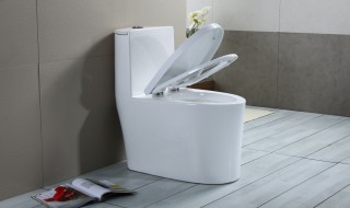 马桶能不能扔纸 马桶安装多久可以用