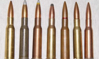 二十响子弹袋有多少发子弹 子弹袋有多少子弹