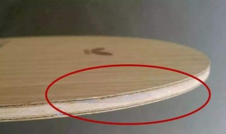 乒乓球省队用什么底板 队员揭露秘密