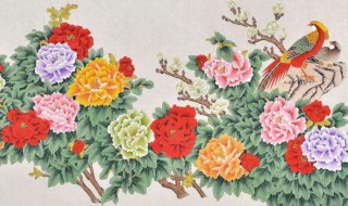 画好牡丹口诀 画牡丹技巧