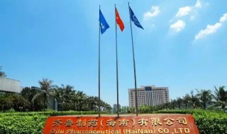 齐鲁制药招聘条件 及公司人才理念