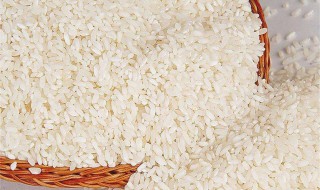 古代一石米是多少斤 你能算清楚吗