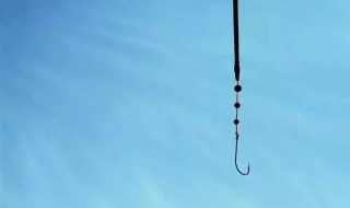 浮漂怎么调灵调钝 浮漂怎么调灵调钝介绍