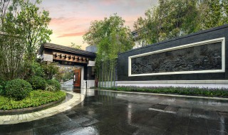 大门外两边栽什么树好 你知道大门外两边栽什么树好吗