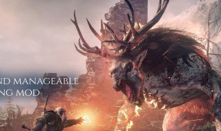 巫师3攻略 大神是这样告诉你的