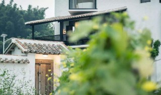 竹子栽在住宅的哪里好 竹子栽在院子的哪个方位好