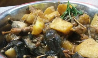 女性吃林蛙的好处 女人吃林蛙油的功效与作用