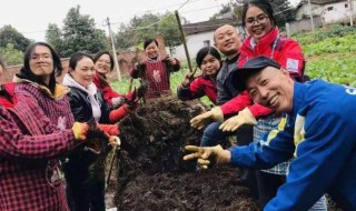 日本人处理秸秆的方法 日本废弃秸秆处理方法